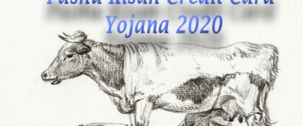 [Apply Online] Pashu Kisan Credit Card Yojana 2021
