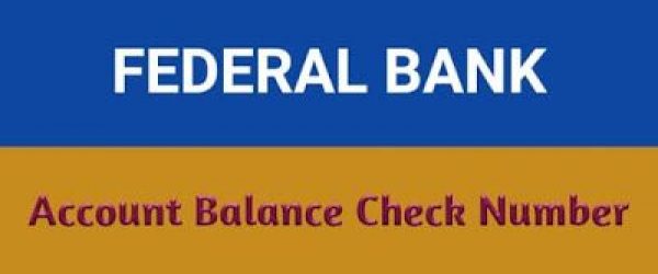 Methods to Check Federal Bank Account Balance