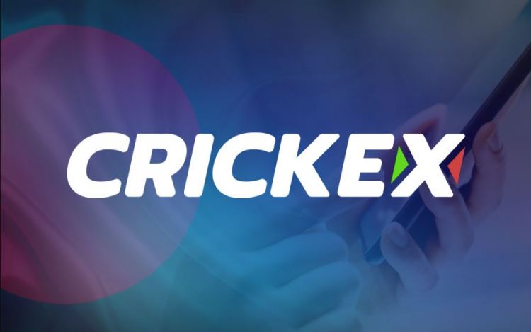 Crickex App: An Overview