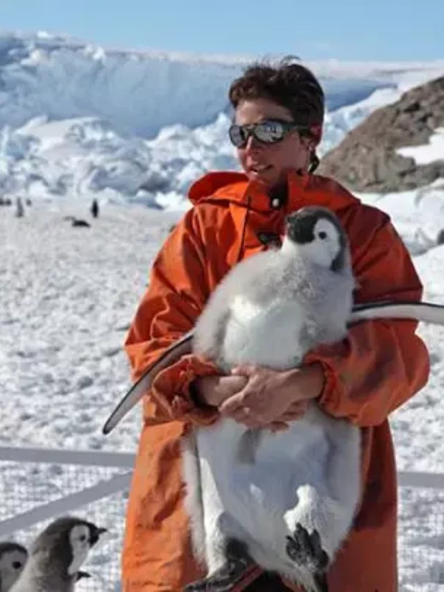 Bay Area Researchers Track Emperor Penguins in Antarctica to Study Climate Change Impacts