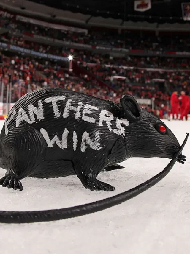 The Florida Panthers’ Rat-Throwing Legacy
