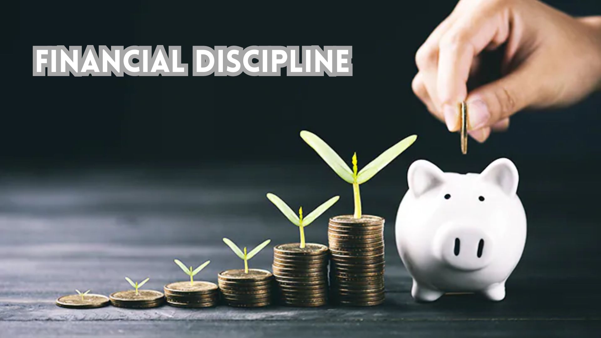 Financial Discipline.