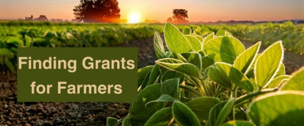 Finding Grants for Farmers: Your Ultimate Guide
