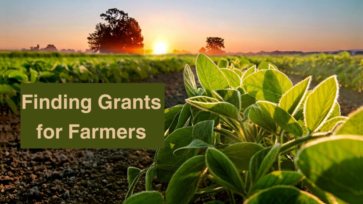 Finding Grants for Farmers