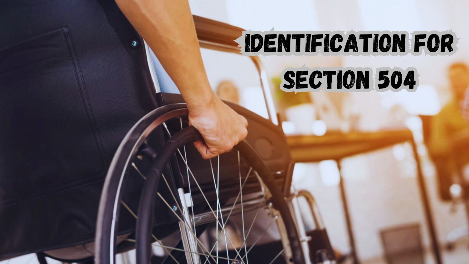 Identification for Section 504.