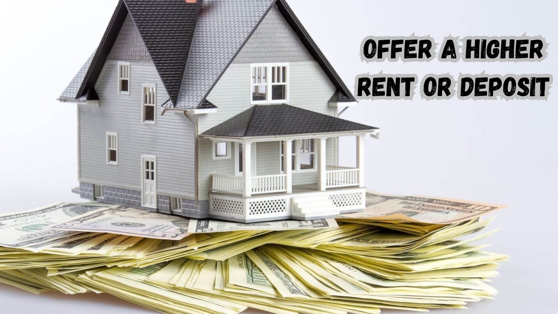 Offer a Higher Rent or Deposit.