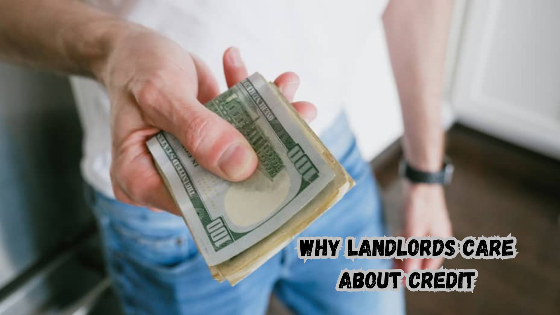 Why Landlords Care About Credit.