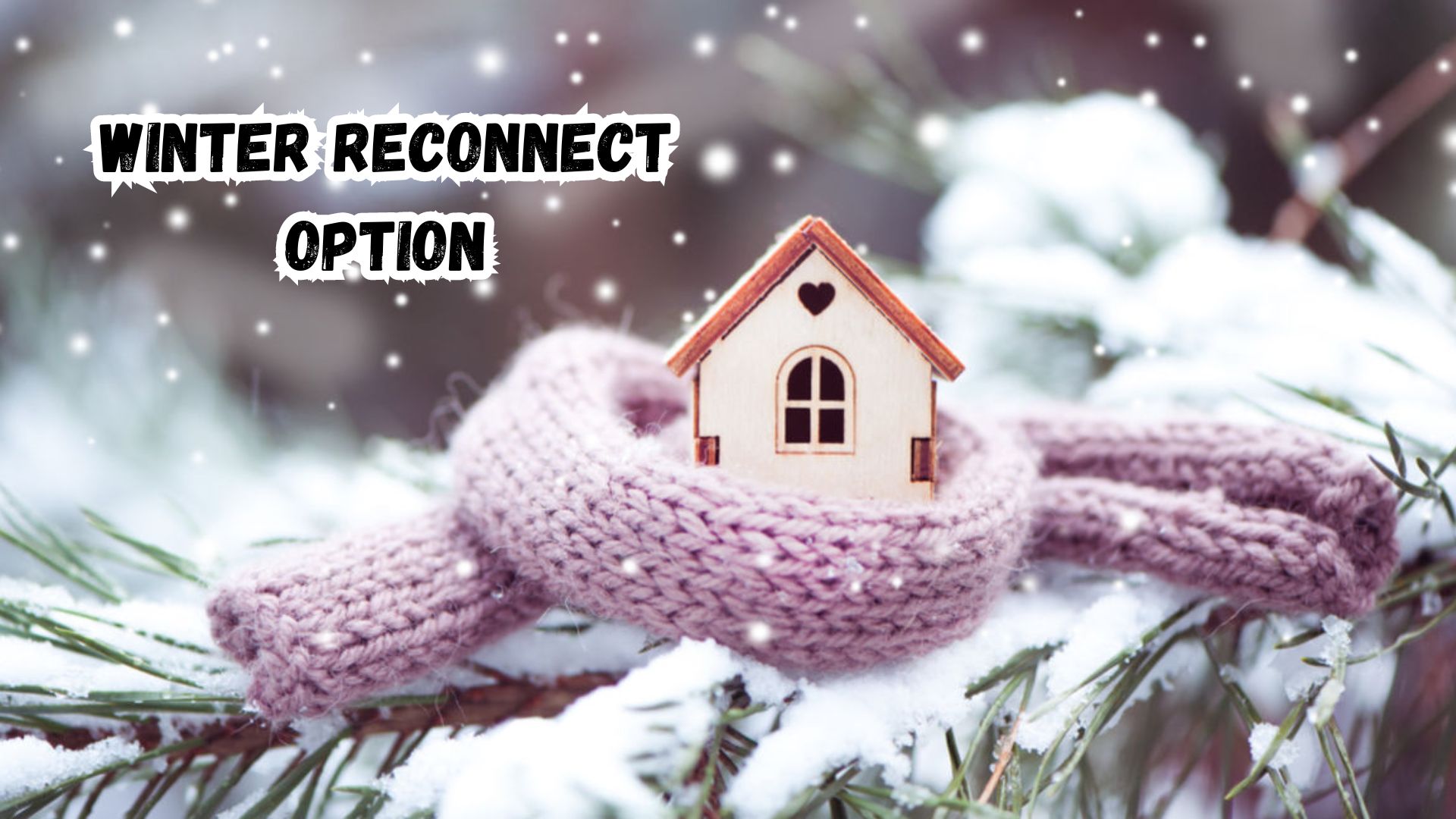 Winter Reconnect Option.