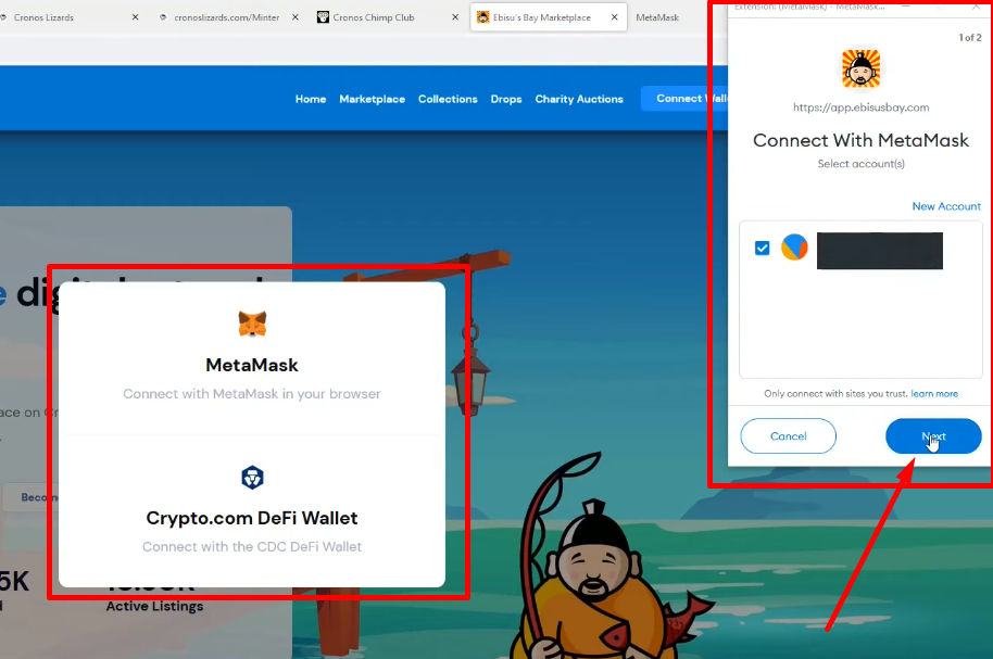 Select MetaMask as your wallet.