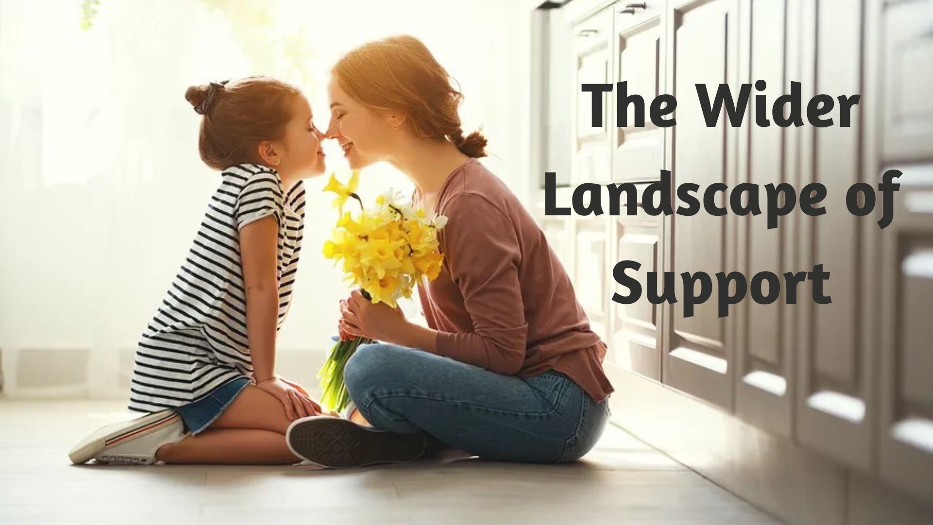 The Wider Landscape of Support