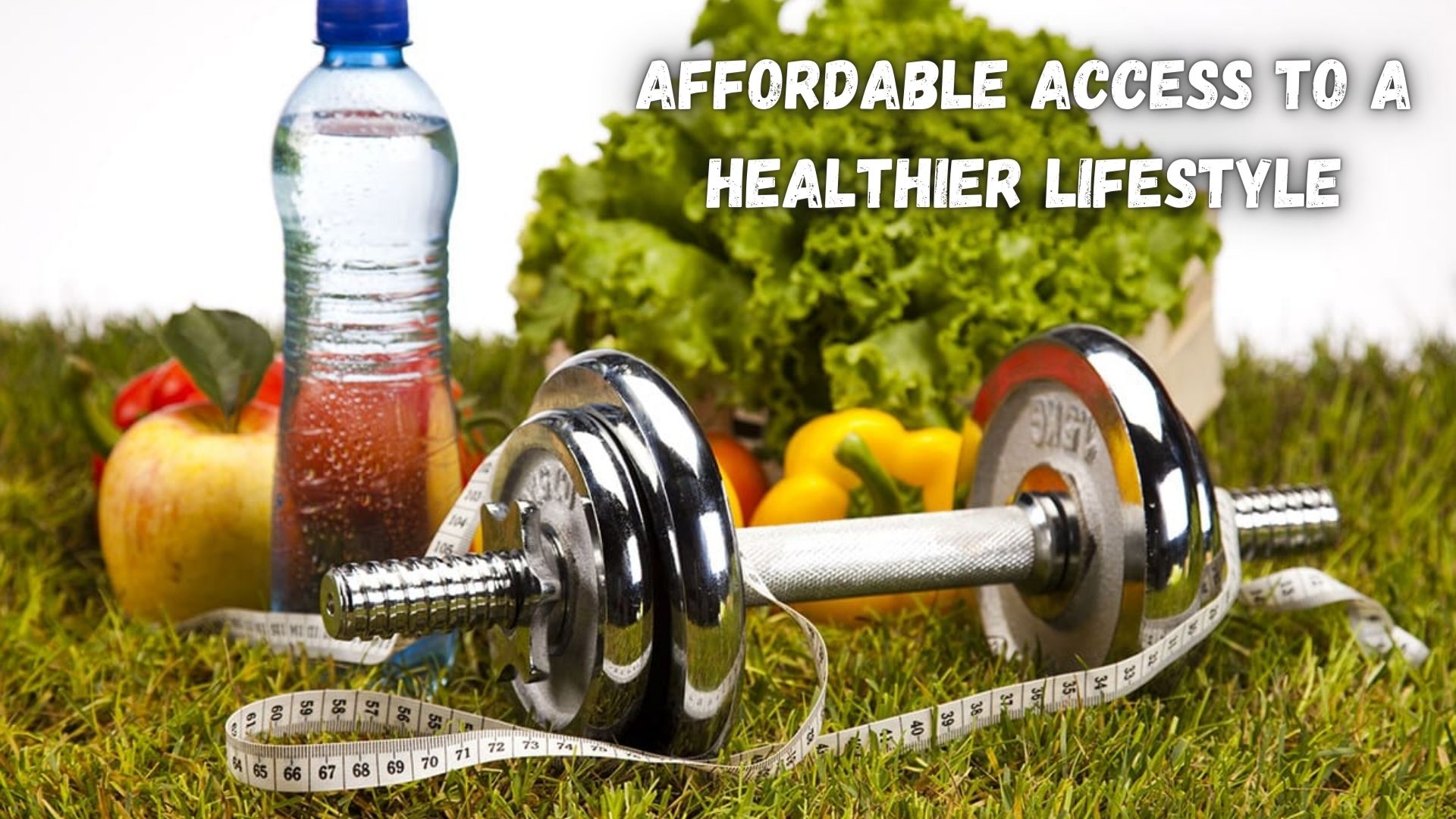 Affordable Access to a Healthier Lifestyle.