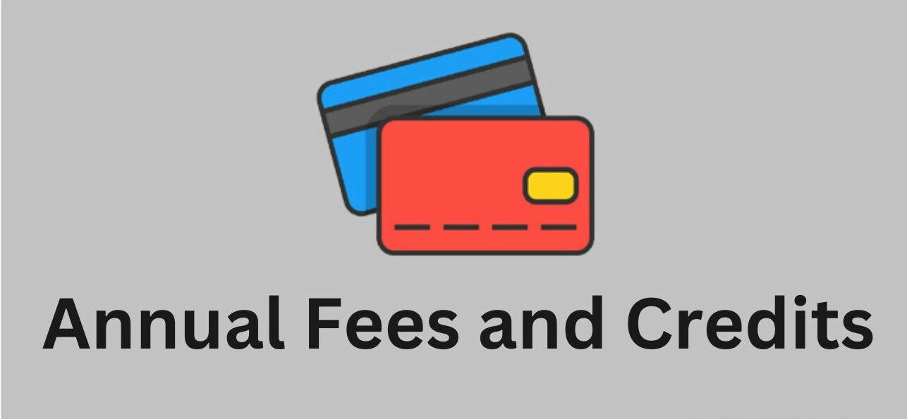 Annual Fees and Credits 