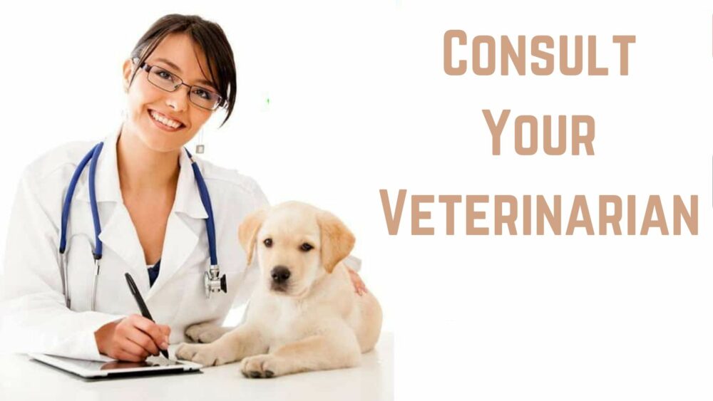 Consult Your Veterinarian
