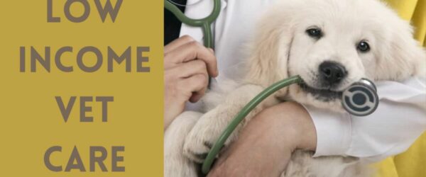 Low Income Vet Care: Discover Free Pet Care Resources Across the United States