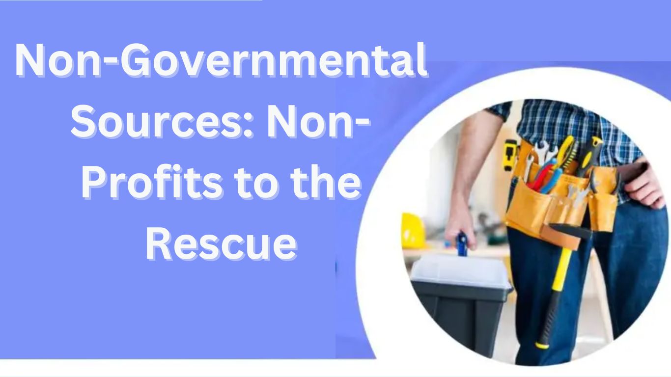 Non-Governmental Sources: Non-Profits to the Rescue