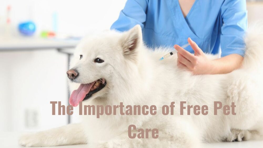 The Importance of Free Pet Care