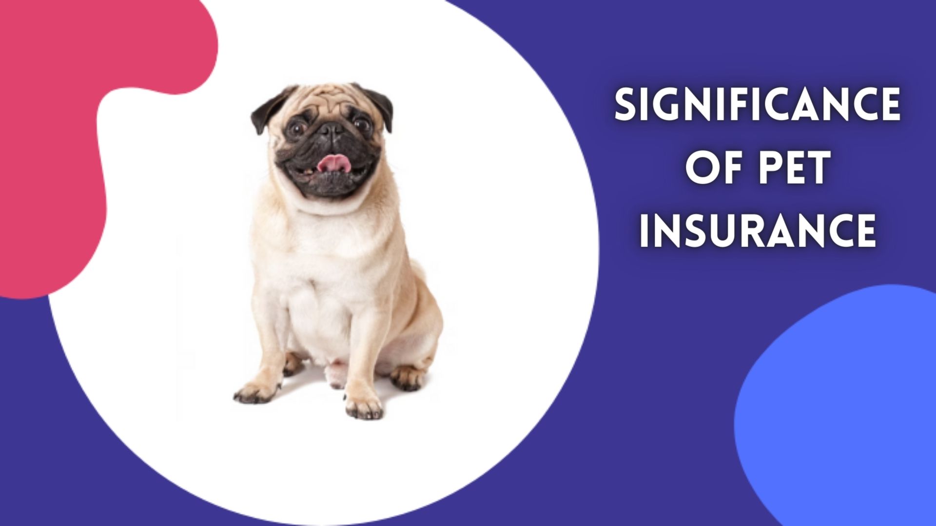 The Significance of Pet Insurance.