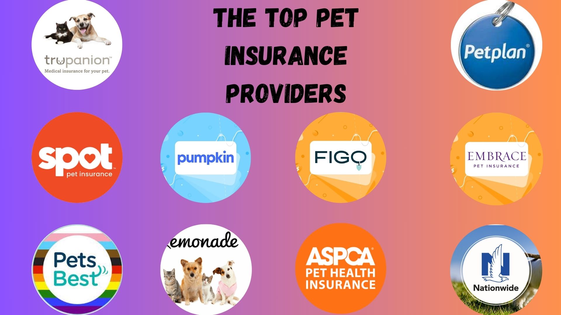 The Top Pet Insurance Providers.