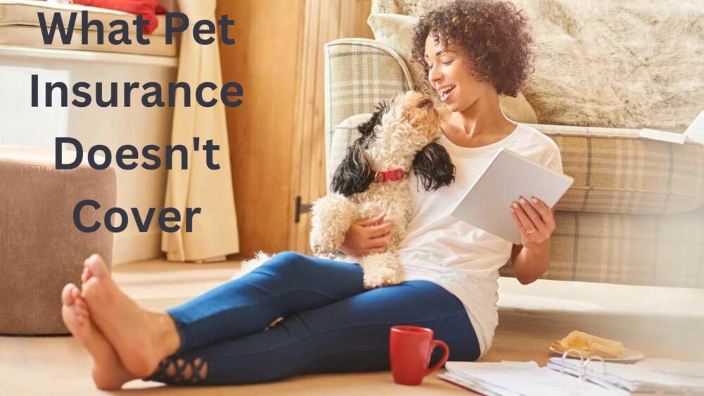 What Pet Insurance Doesn't Cover