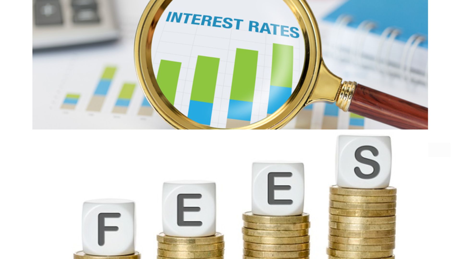 Fees and Interest Rates