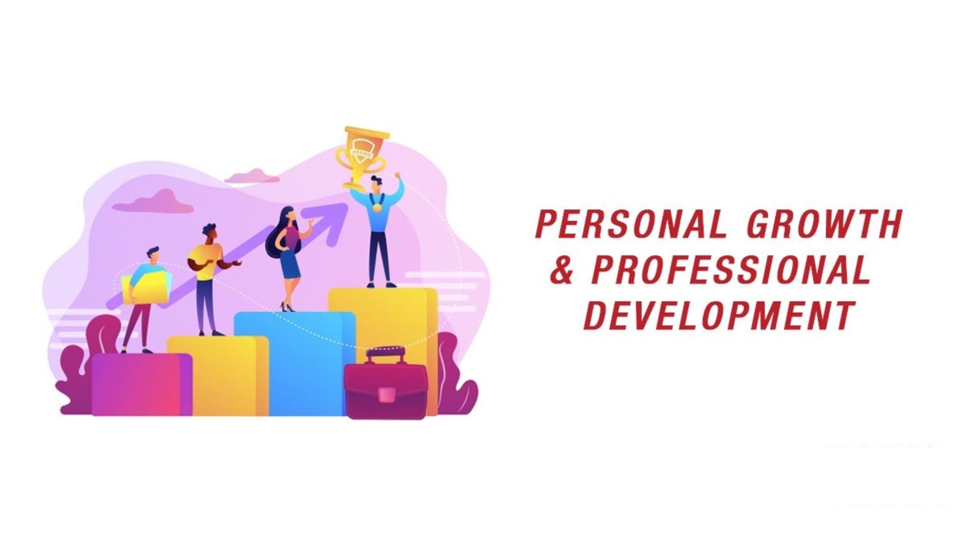 Personal and Professional Development Seekers