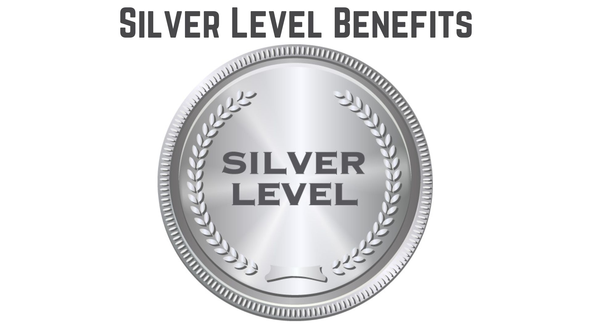 Silver Level Benefits