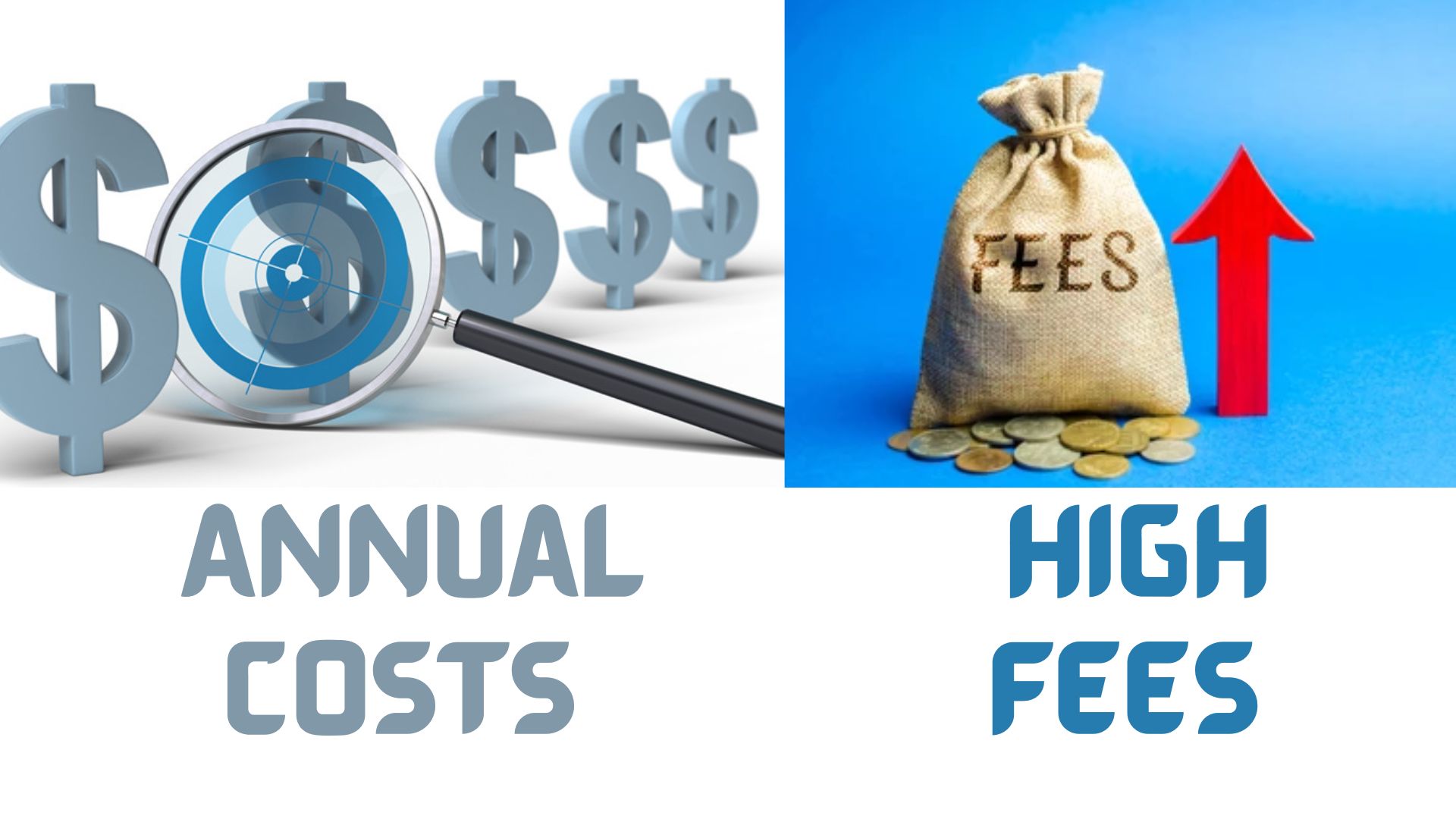 High Fees and Annual Costs