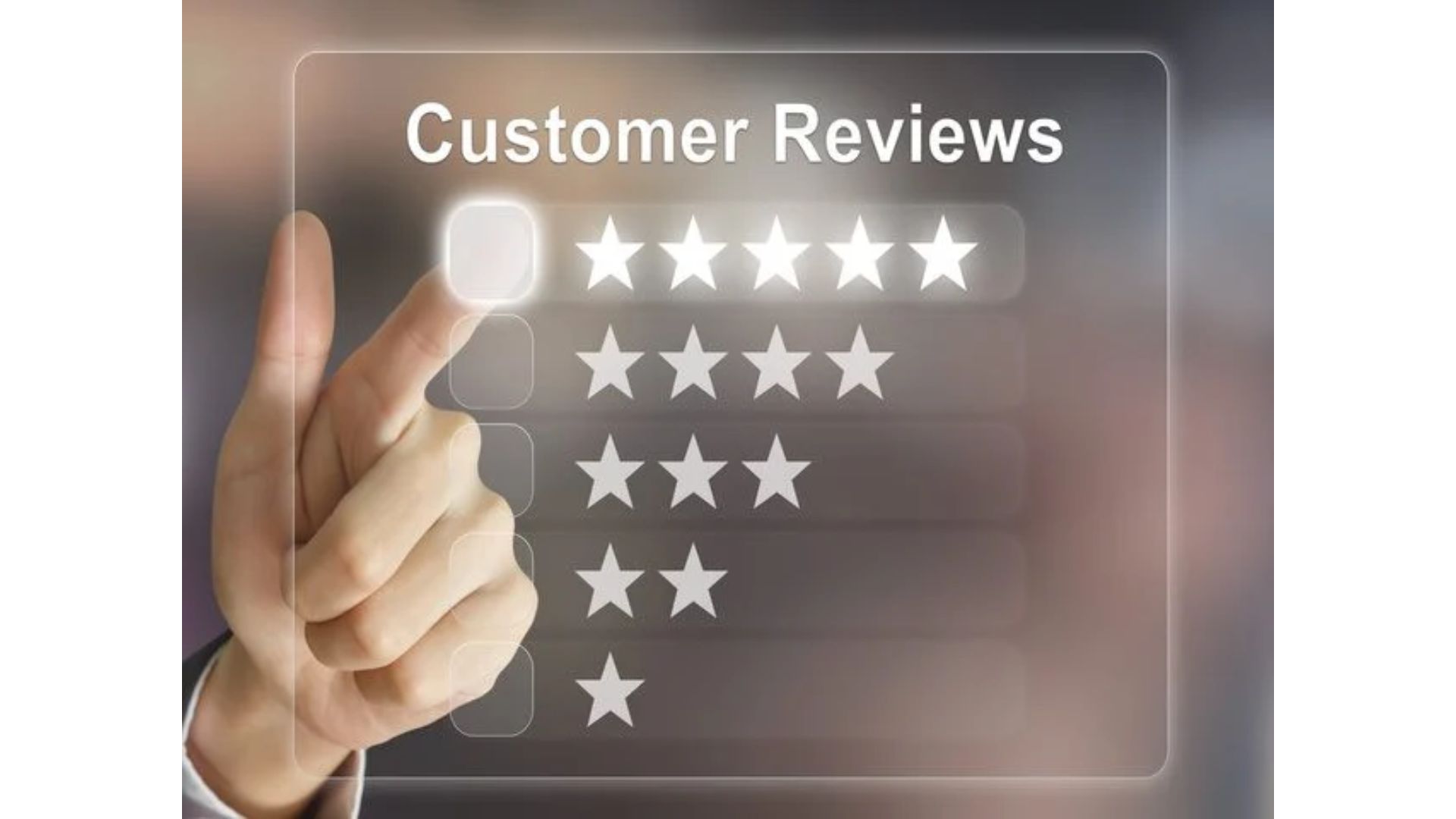 Customer Reviews and Ratings