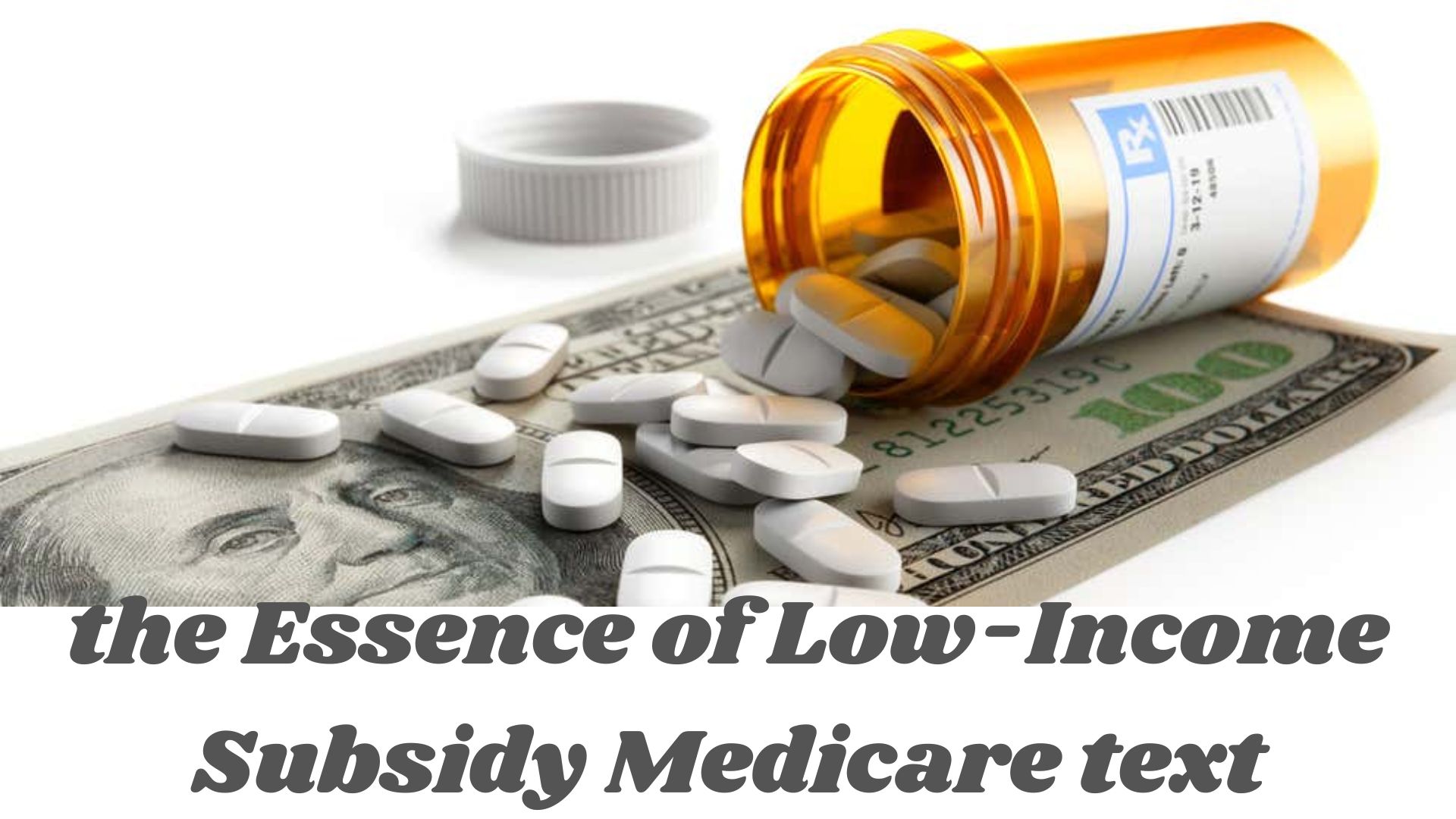 the Essence of Low Income Subsidy Medicare