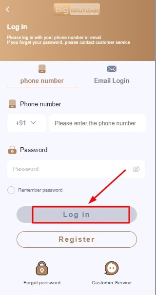 Click on the login button